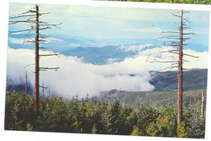 Great Smoky Mountains National Park Views ( 3 cards )