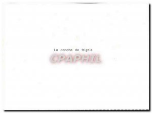 Modern Postcard From La Conche Trigale