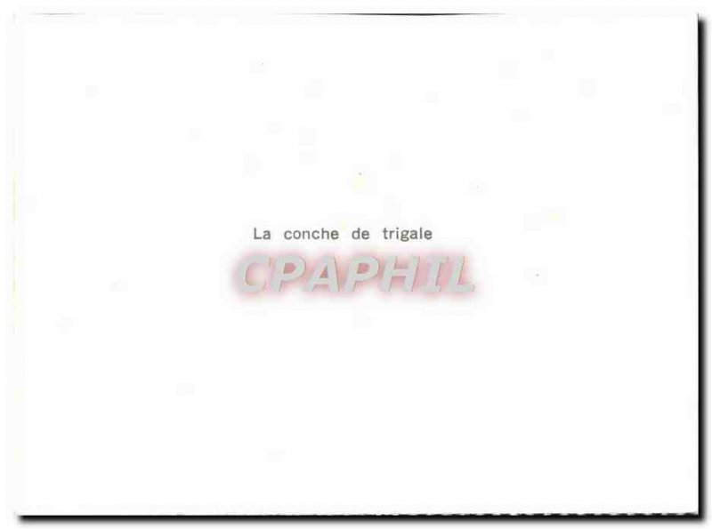 Modern Postcard From La Conche Trigale