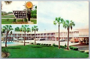 Tallahassee Florida 1950s Postcard Skyline Motor Lodge Motel Swimming Pool