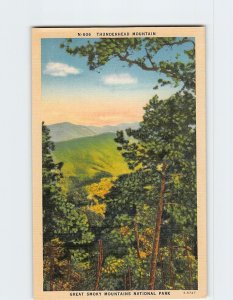 Postcard Thunderhead Mountain Great Smoky Mountains National Park Tennessee USA