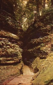 Vintage Postcard Rocky Glen In Cold Water Canyon Wisconsin Dells Plastichrome