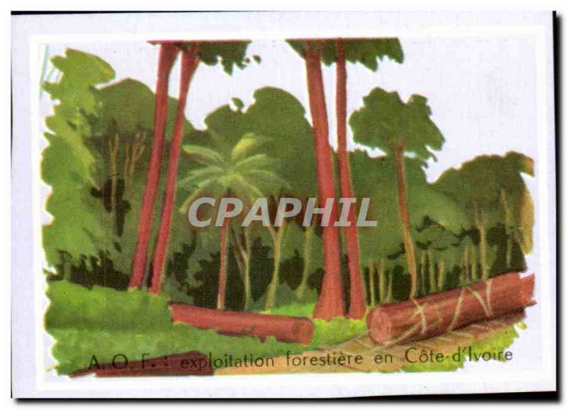 Picture forestry operations in Cote d Ivoire