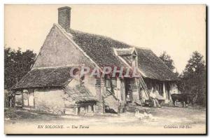 Old Postcard Folklore Peasants In Sologne A TOP Cow farm