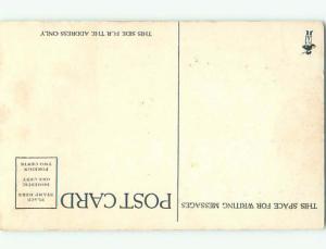 Pre-Linen Comic HUMANIZED CATS IN CLOTHING AB9214