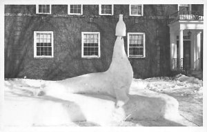 Snow Sculpture Real Photo Unused 