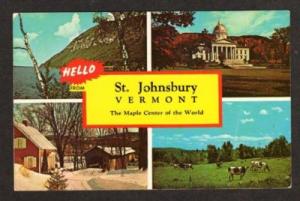VT Hello from ST JOHNSBURY VERMONT Postcard PC Cows