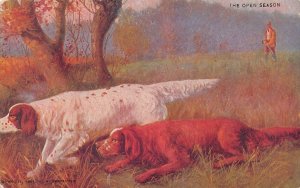 THE OPEN SEASON-HUNTING-SETTER DOGS POINT-1900s ARTIST POSTCARD