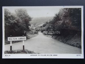 Dorset MILTON ABBAS Approach to Village c1960's RP Postcard by Frith
