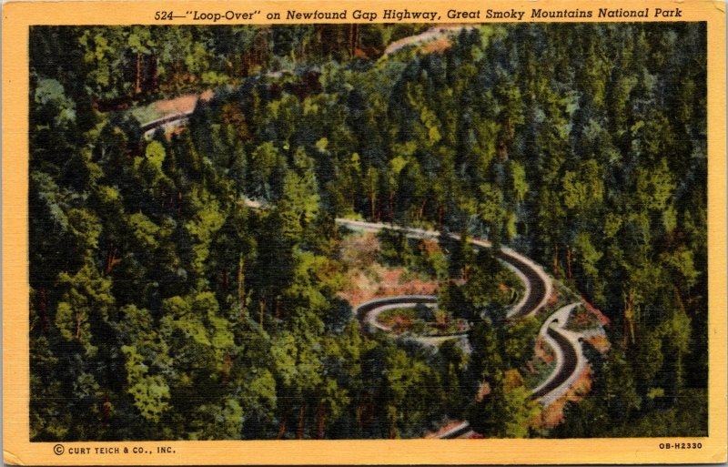 Newfound Gap Hwy Great Smokey Mountains National Park Postcard unused '30s/40s