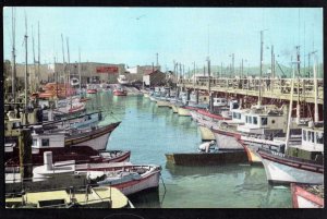 California SAN FRANCISCO Fisherman's Wharf A Picturesque Bit of Little Italy