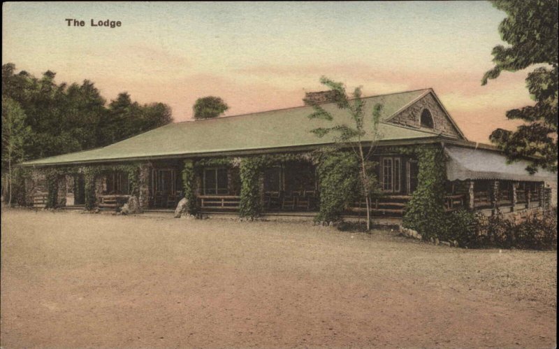 New Market Virginia VA Endless Caverns Lodge Albertype Vintage Postcard