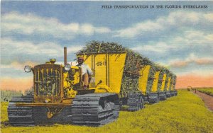 FLORIDA Everglades 1940s Postcard Tractor Wagon Loaded With Sugar Cane