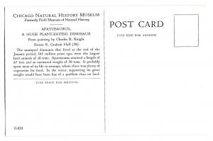 Chicago Natural History Museum Apatosaurus Dinosaur Postcard