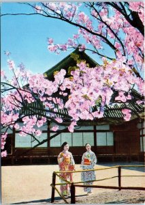 1970s Cherry Blossoms at old Nijyo Palace Kyoto Japan Continental Postcard