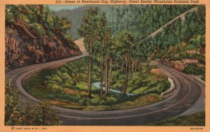 Vintage Postcard 1910's Newfound Gap Highway Great Smoky Mountains Nat'l Park