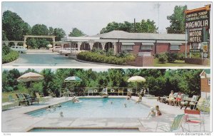 Swimming Pool,  Magnolia Motor Hotel,  Vicksburg,  Mississippi,  40-60s