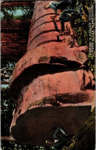 Sawing A Fallen Timber Lumber Scene Washington Postcard Divided Back