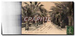 CARTE Postale Old Menton A Palm Allee