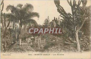 Old Postcard MONTE CARLO. The gardens