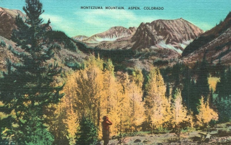 Vintage Postcard Montezuma Mountain Pine Trees Aspen Colorado CO Elmer C. Clark