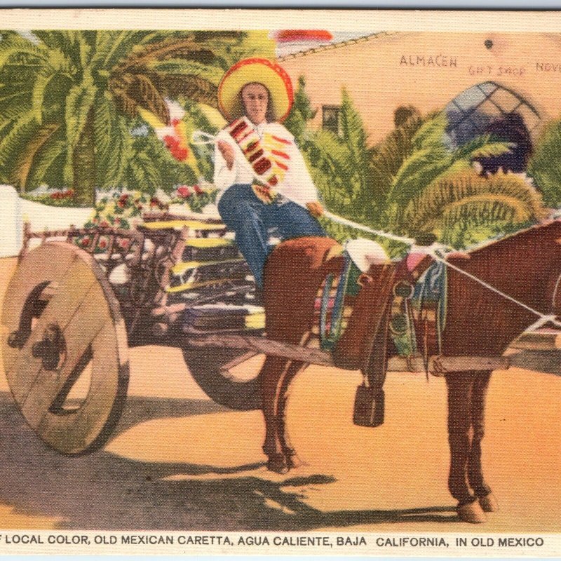 c1940s Agua Caliente, Mexico Old Caretta Horse Cart Almacen Palm Trees A359