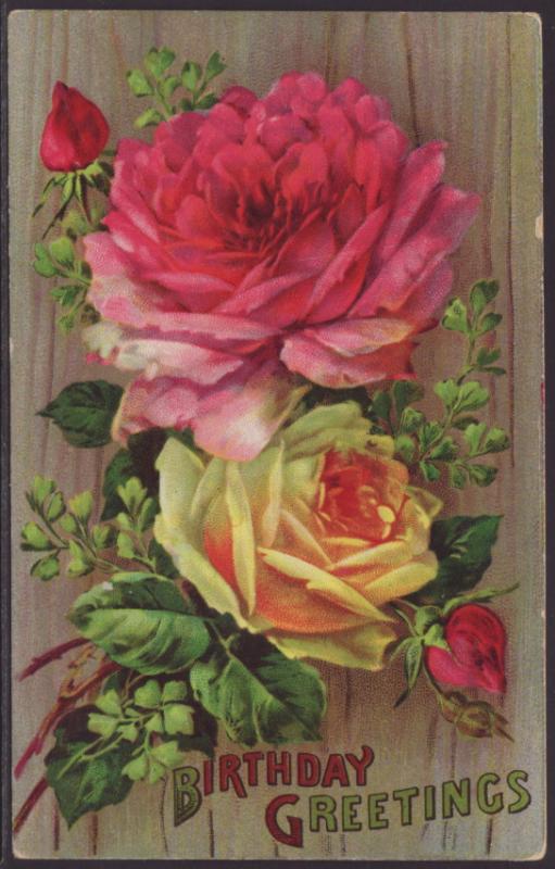 Birthday Greetings,Roses Postcard