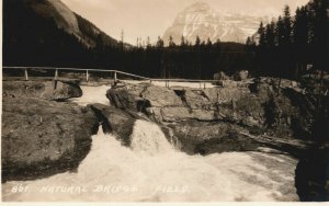 Canada Natural Bridge Field British Columbia Vintage RPPC 03.93
