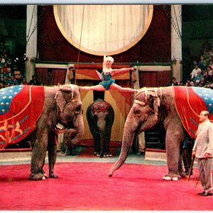 c1975 Russian Elephant Trainers Chrome Photo PC Anatoly & Nina Kornilov A144