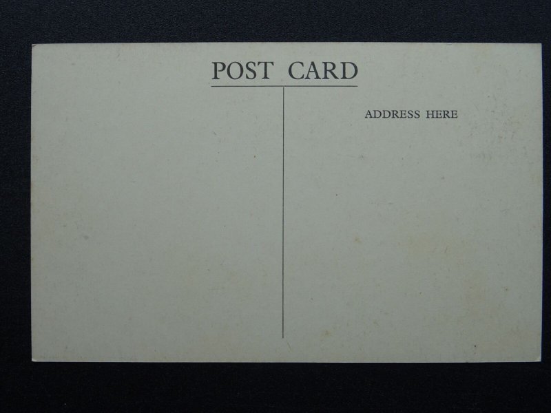 Wales Anglesey BEAUMARIS Grammar School - Old Postcard