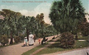 Postcard Palmetto Ave Colonial Park Savannah GA