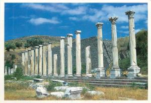 Lot 12 postcards all BERGAMA Turkey