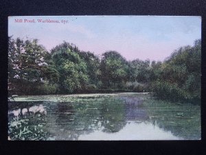 East Sussex WARBLETON Mill Pond c1909 Postcard by W. Brooker of Eastbourne