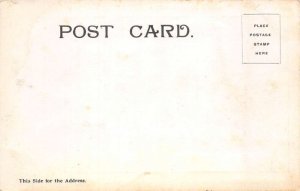 Brooklyn New York near Windham Catskills Scenic View Vintage Postcard AA75379