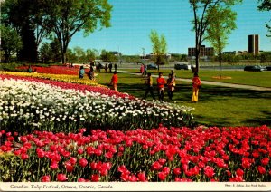 Canada Ottawa The Canadian Tulip Festival