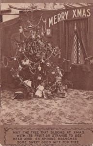 Merry Christmas Beautiful Christmas Tree 1910