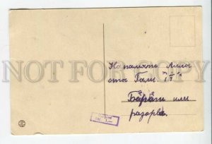 431923 Estonia Dressed dachshund and orchestra cats with instruments harp PC