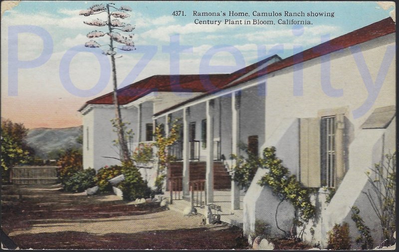 RAMONA'S HOME,CAMOLUS CENTURY PLANT #2 AT ROMANA'S WEDDING PLACE SAN DIEGO CA...