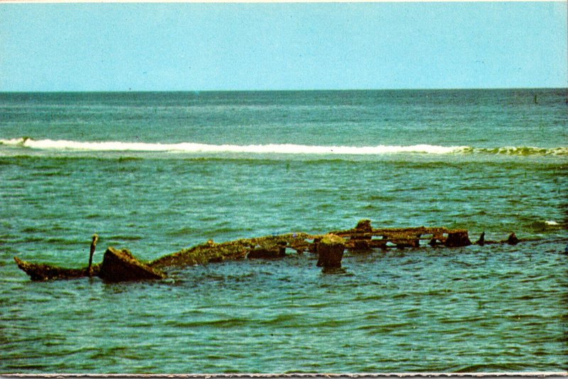 Massachusetts Cape Cod National Seashore The Bark Francis Wreckage