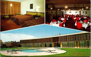 Vtg Buffalo Wyoming WY Cross Roads Inn Motel Room Interior Pool Dining Postcard