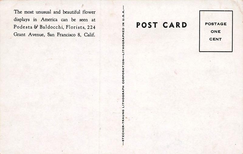 Podesta & Baldocchi, America's Most Famous Florists, Early Postcard, Unused