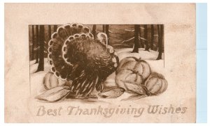 1910 Thanksgiving Wishes Turkey Pumpkins Vintage Postcard PM Elroy WI