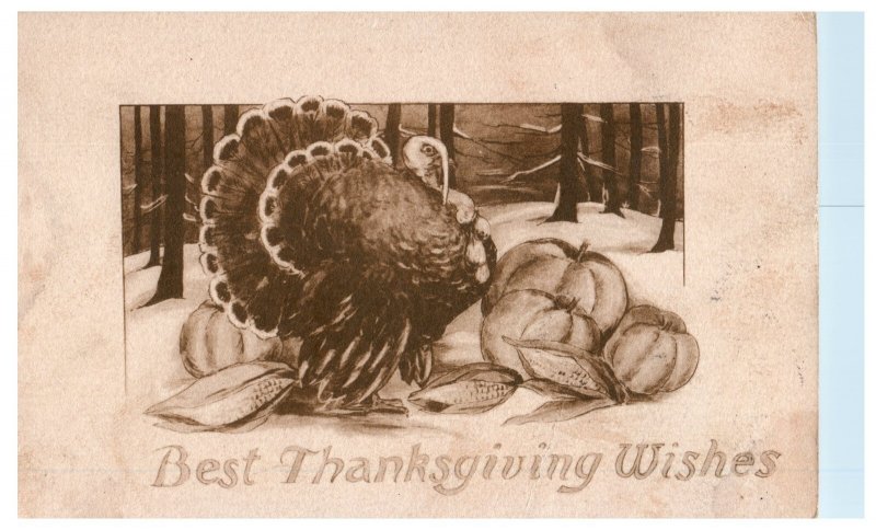 1910 Thanksgiving Wishes Turkey Pumpkins Vintage Postcard PM Elroy WI