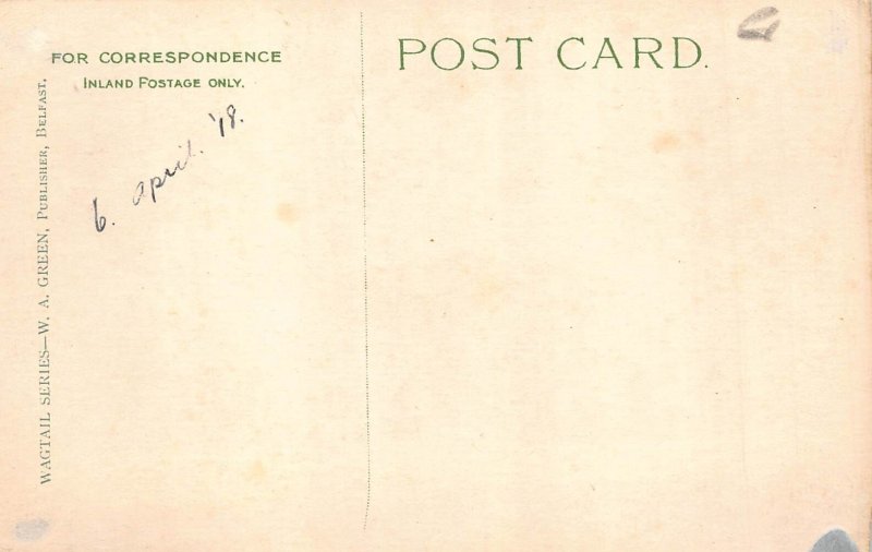 B213 Ireland Shane's Castle Antrim vintage postcard