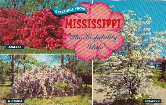 Greetings From Mississippi