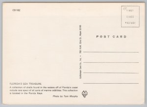 State View~Sea Shells On Towel In Florida~Continental Postcard 