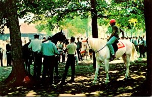 New York Saratoga Race Track  Paddock Area