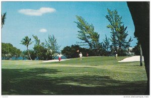 Golf Course #2 , LAKE WORTH , Florida , 1960s