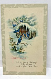 A Happy Christmas and Glad New Year Postcard with snow and birds