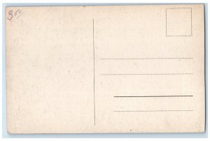 c1910 Monte Palace Hotel Lake Madeira Portugal Antique Posted Postcard